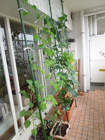 f0045667_775511.jpg