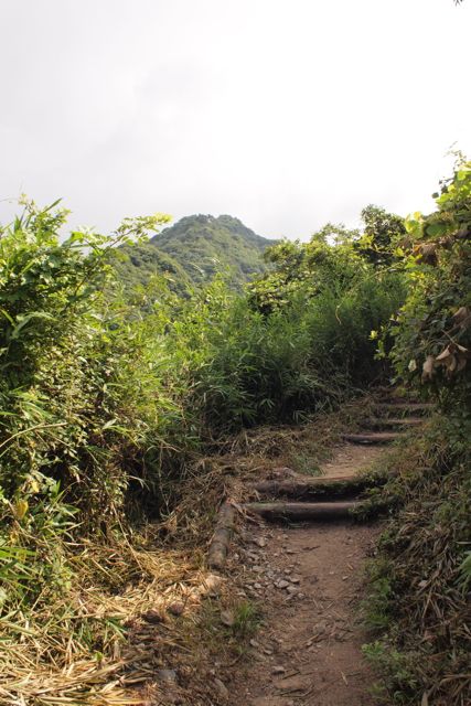 六甲山系　摩耶山から有馬への縦走_c0218468_18443922.jpg