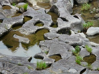 c0205169_8584980.jpg