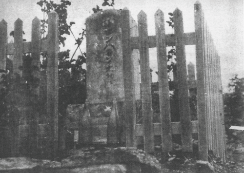 b0199170_21533332.png
