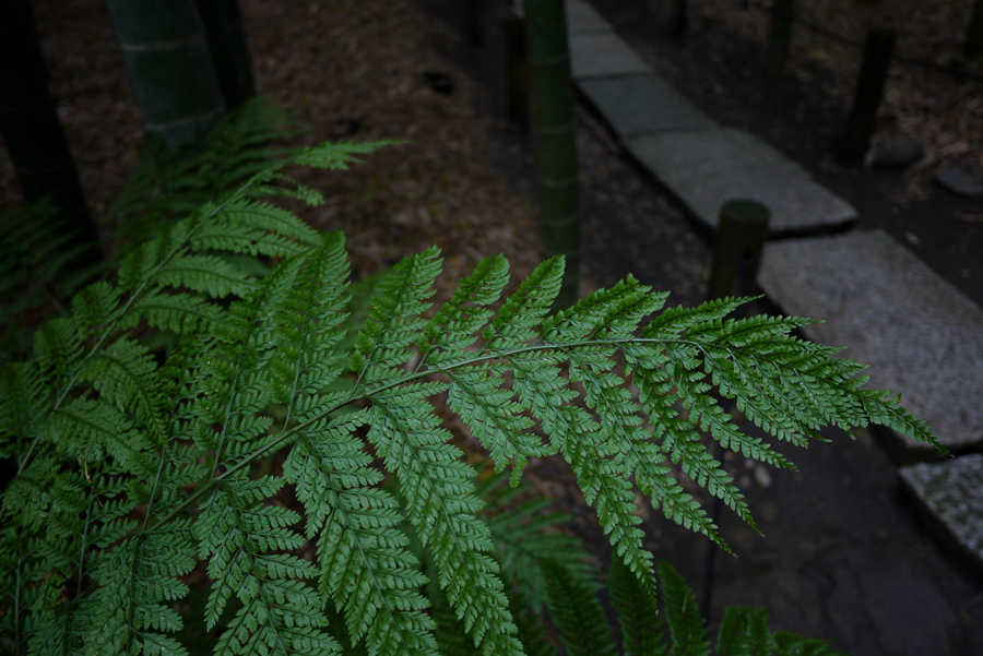 b0065572_1321264.jpg