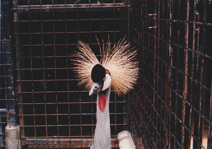 動物園_e0195977_1624276.jpg