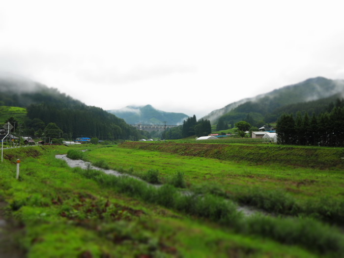 c0197578_11181855.jpg