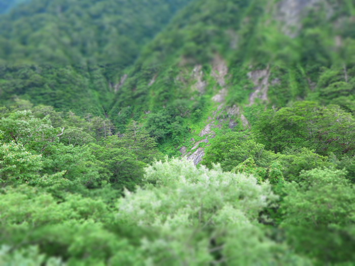 c0197578_22553255.jpg