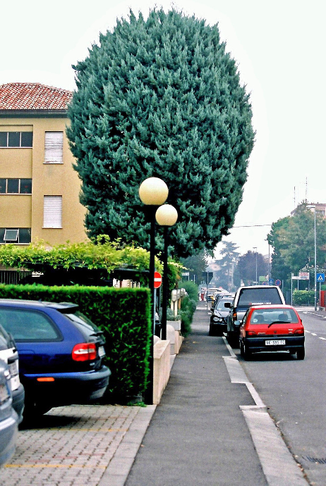 b0178479_2091410.jpg