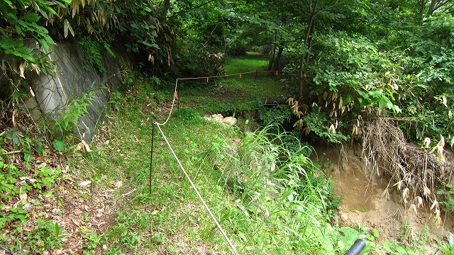 a0242984_616458.jpg
