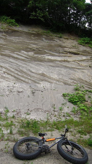 a0242984_6174425.jpg