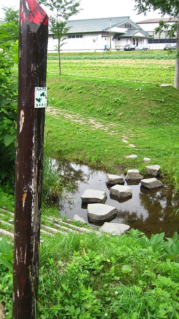 a0242984_619241.jpg