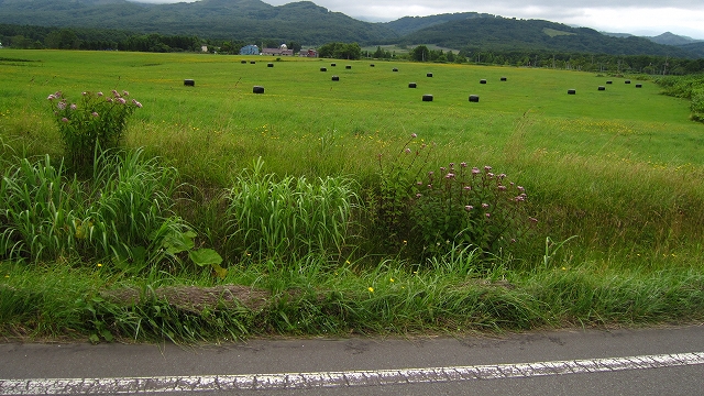 a0242984_6281830.jpg