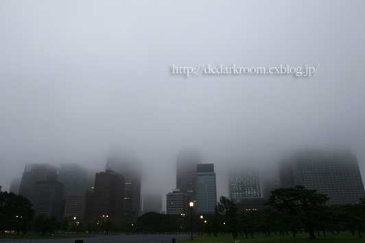 【節電都市 2011】皇居界隈_b0212388_23274251.jpg