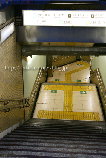 【節電都市 2011】皇居界隈_b0212388_23274745.jpg