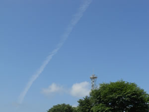 e0148889_1655179.jpg