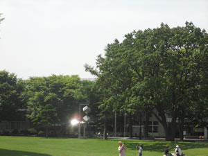 e0148889_16555749.jpg