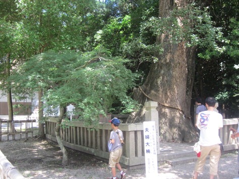 c0078592_16455720.jpg