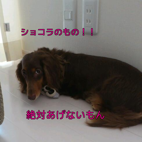 b0237894_10491726.png