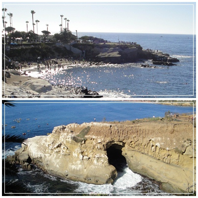 ラホーヤ ビーチ・La Jolla Beaches_b0253801_521057.jpg