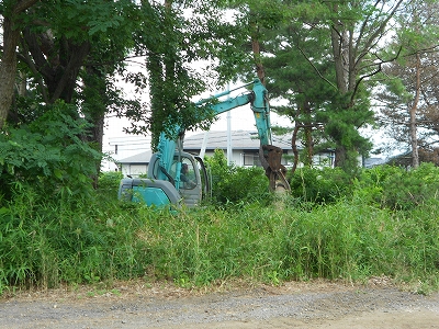 b0147203_2011322.jpg
