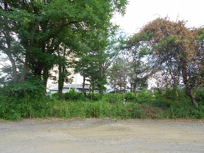 b0147203_201337.jpg