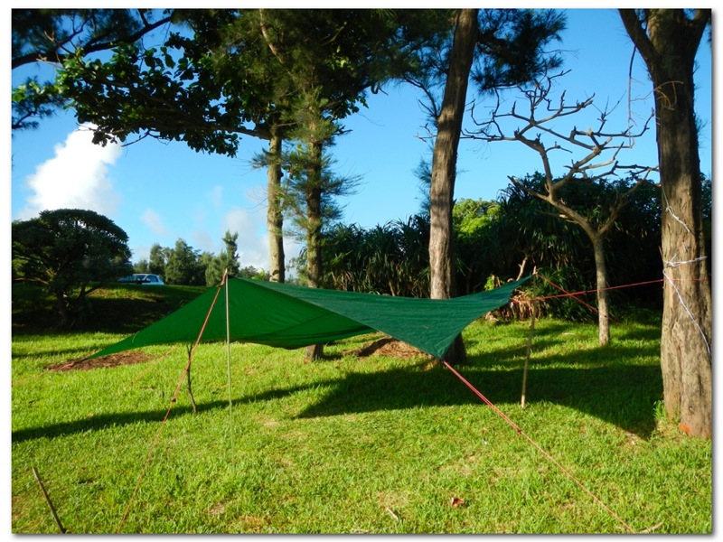 MSR VISTA WING ビスタウィング MSR Vistawing™ LT ビスタウィングLT 日本限定モデル タープ