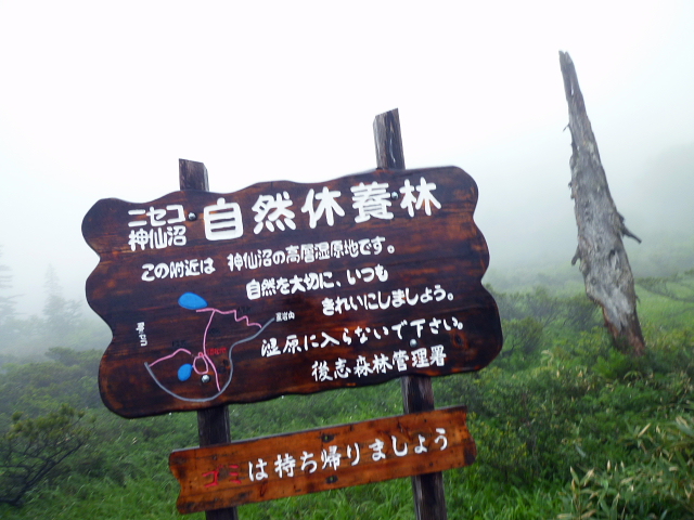 北海道登山旅行レポート　雨のチセヌプリ(1,134.2M) に登る_d0170615_73516.jpg