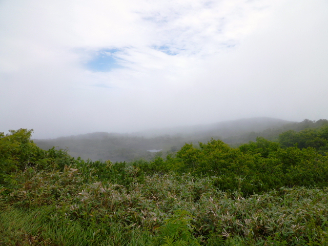 北海道登山旅行レポート　雨のチセヌプリ(1,134.2M) に登る_d0170615_762895.jpg