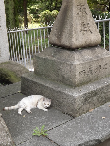 c0158916_8111569.jpg