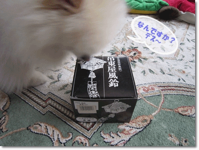 b0167519_9142728.gif