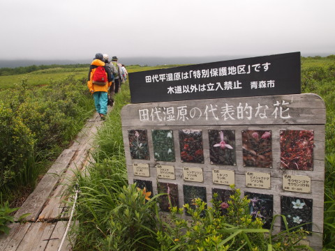 b0147224_20351378.jpg
