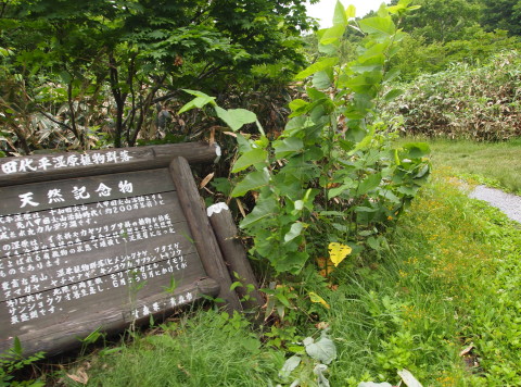 b0147224_20411713.jpg