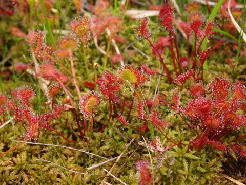 b0147224_20462830.jpg