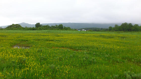 b0147224_20533086.jpg