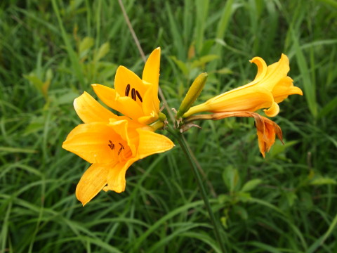 b0147224_20583241.jpg