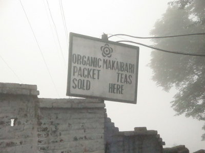 d0254827_0352831.png