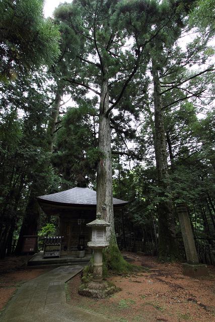 b0169330_7514229.jpg