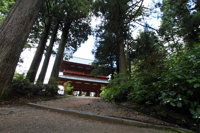 夏の高野山へ －大門－_b0169330_754268.jpg