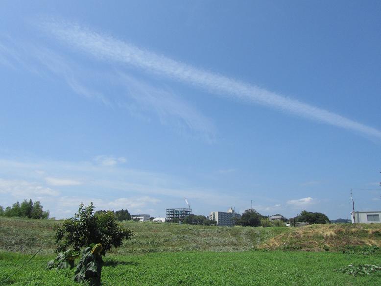 e0137130_16583339.jpg