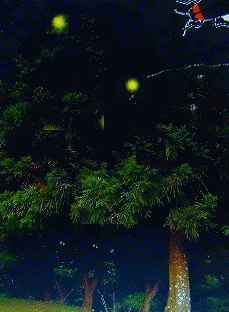 b0191932_8423798.gif