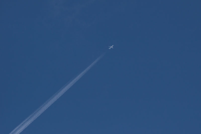 b0177233_57584.jpg