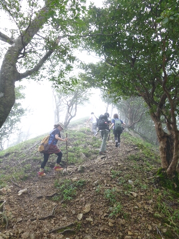 夏登山_c0113733_04926.jpg