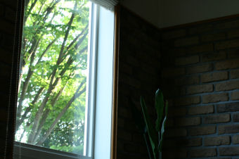 f0002534_20393316.jpg
