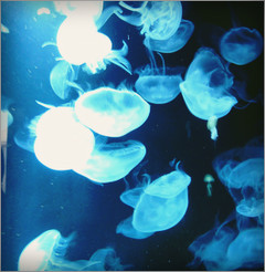 d0235336_0475445.jpg