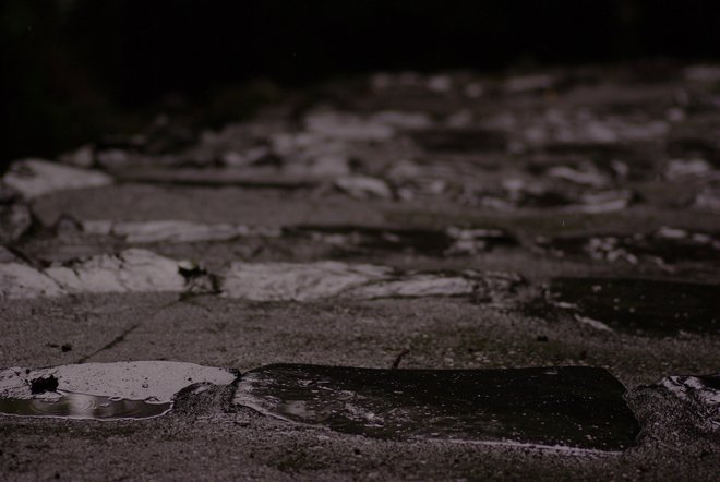 e0171336_6201746.jpg