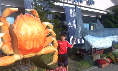 c0176941_87465.jpg