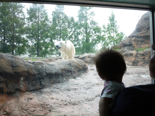 豊橋動植物園_f0128843_20391884.jpg