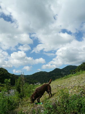 もう梅雨明けしてるのでは？_d0013645_11532354.jpg