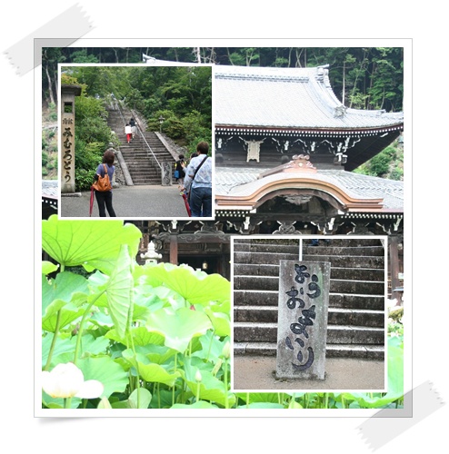 宇治散策_c0049950_14303859.jpg