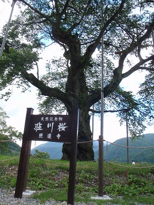c0097754_17384111.jpg