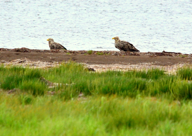 b0165760_1843828.jpg