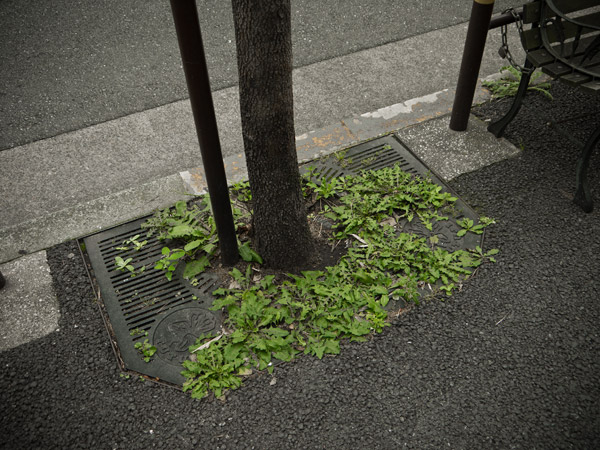 2012/07/23 仕事場界隈@Lumix G2_b0171364_15432186.jpg