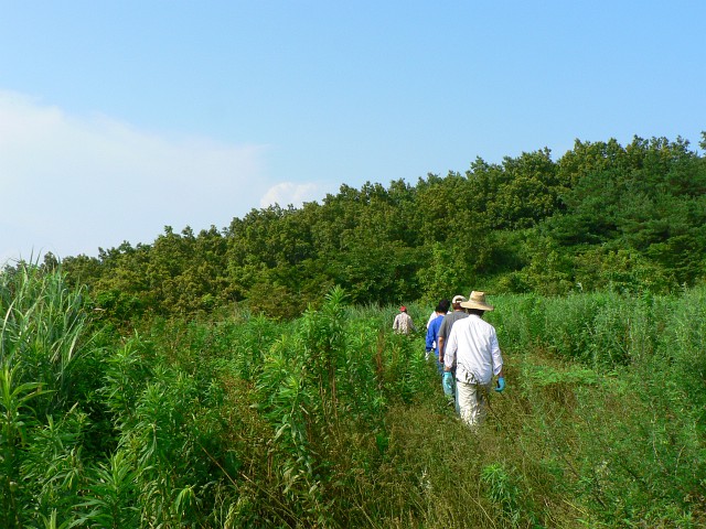 山の飛行場　2012/07/２２（日）_f0180865_8263820.jpg